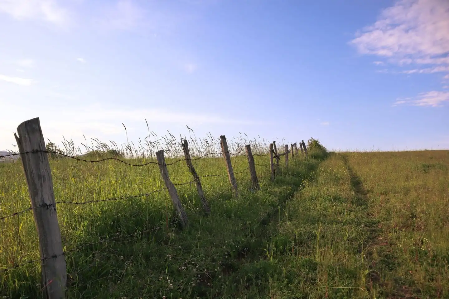 A post and wire fence running along the boundary of a grass field.