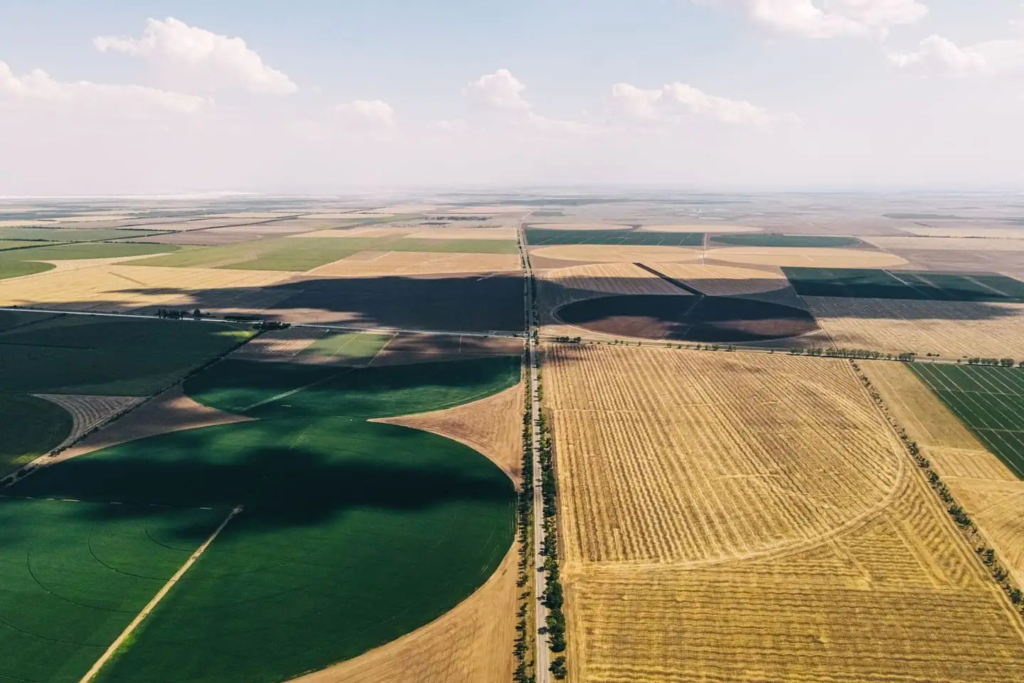 Aerial view of cultivated fields divided into strips, the kind of acreage sold at a land auction.
